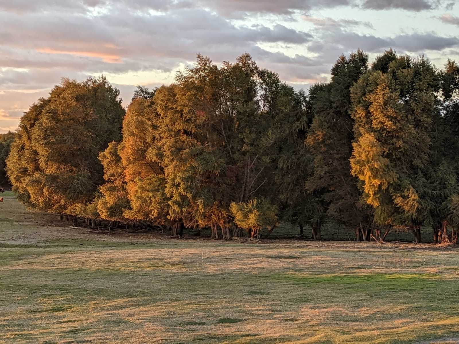 Magical Forbes Island Large Groups! - Knightsen, California - glamping.directory