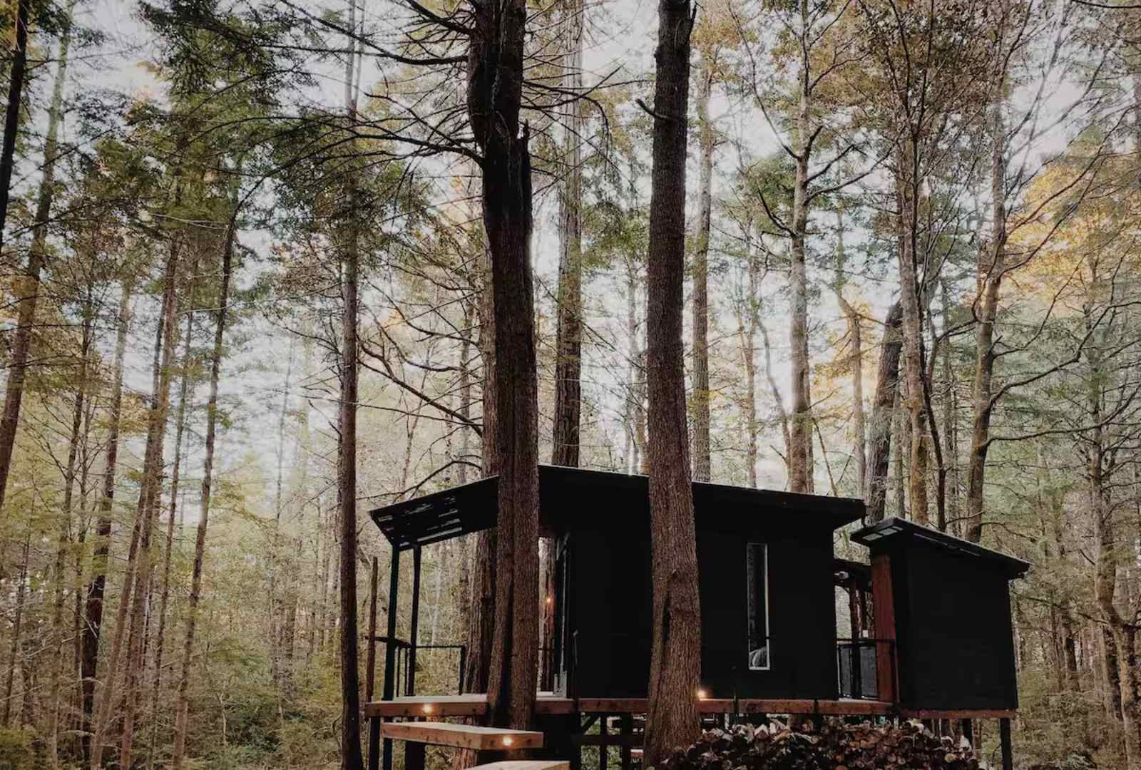 Elk Forest Retreat - glamping.directory