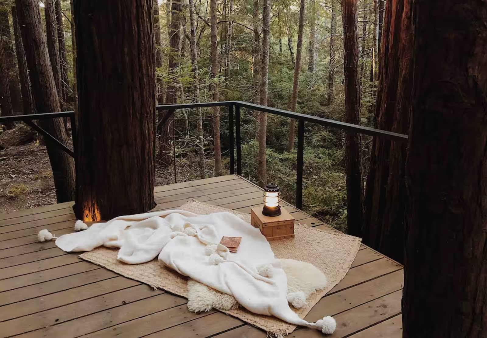 Elk Forest Retreat - Elk, California - glamping.directory