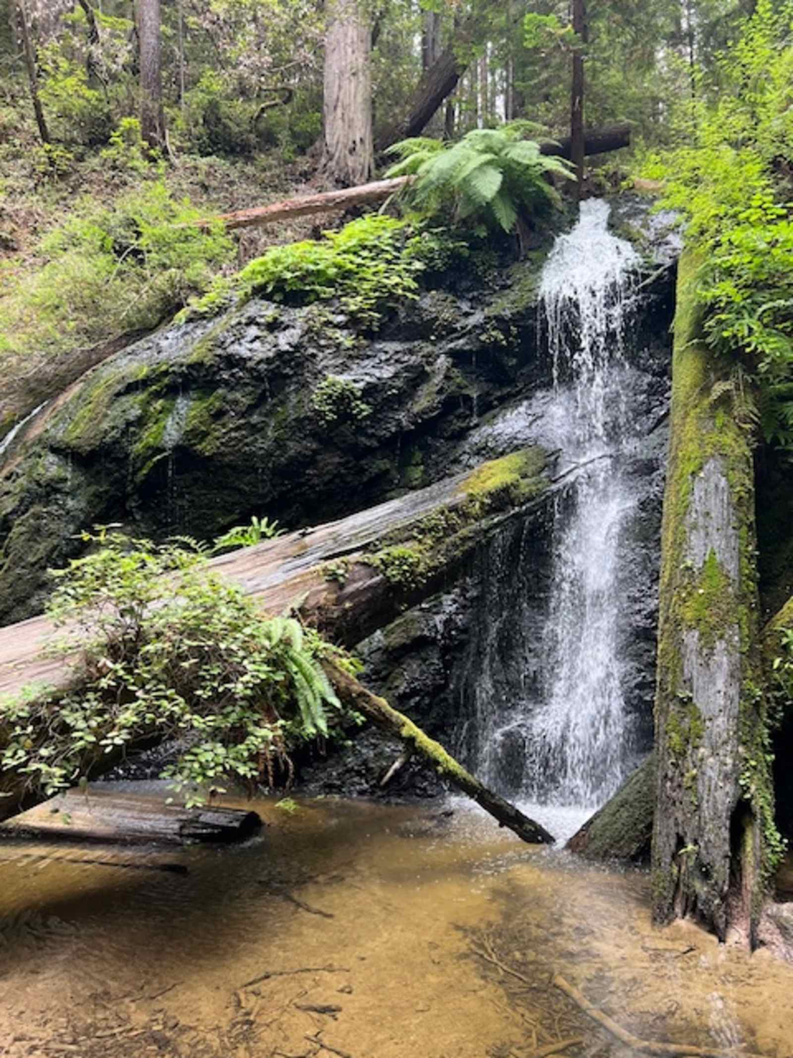 Waterfall Camp - glamping.directory
