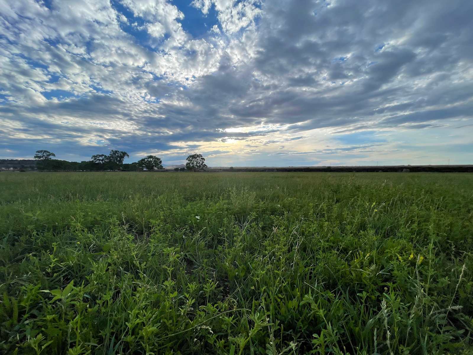 Creekside Farm - glamping.directory