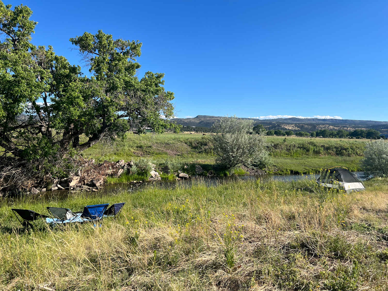 Creekside Farm - Eagar, Arizona - glamping.directory