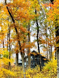 Pet-Friendly Lakeside Cabin Ideal for a Family Getaway in Wisconsin - Stone Lake, Wisconsin - glamping.directory