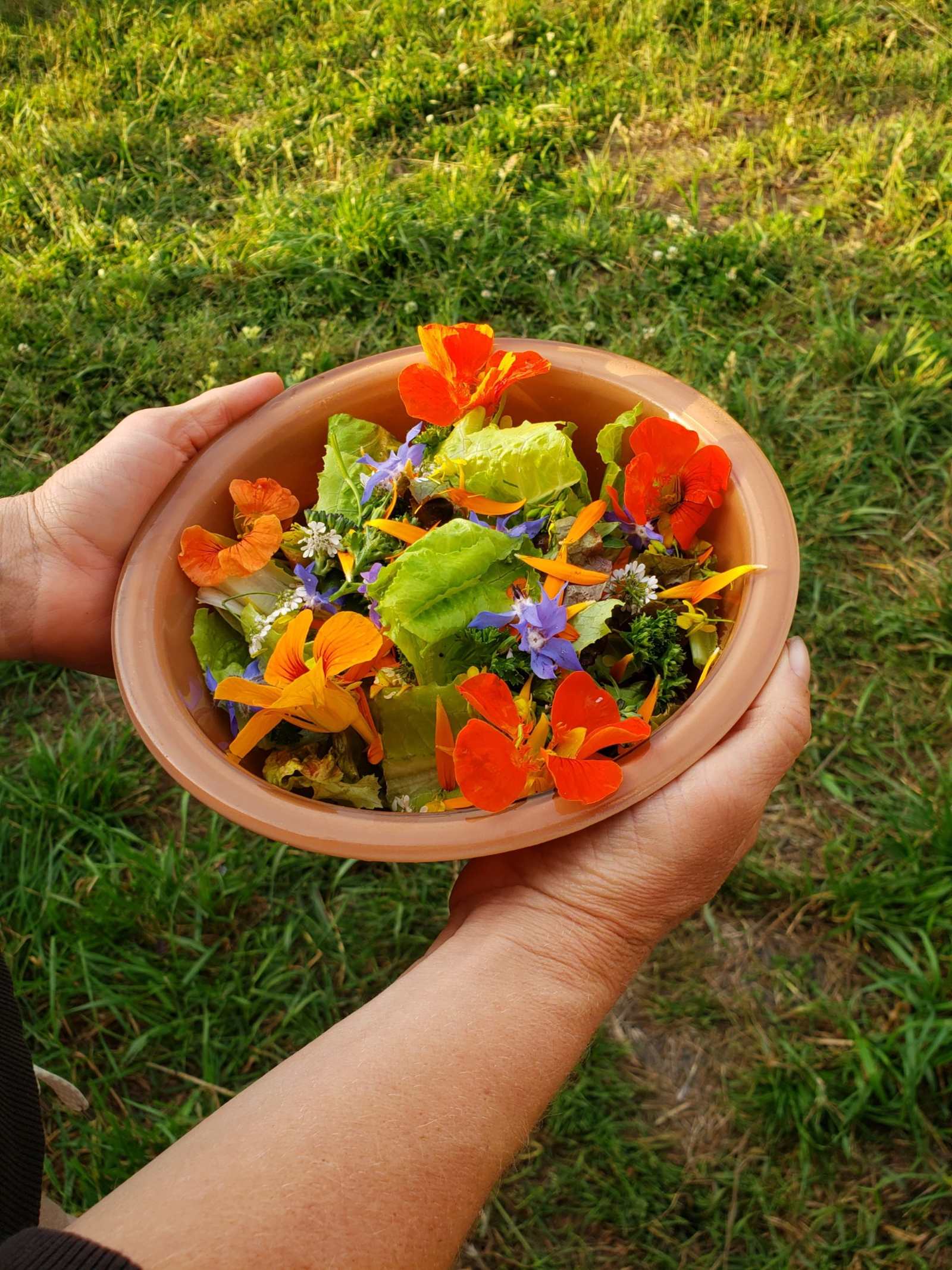 Ossia Village Farm - Crescent City, California - glamping.directory