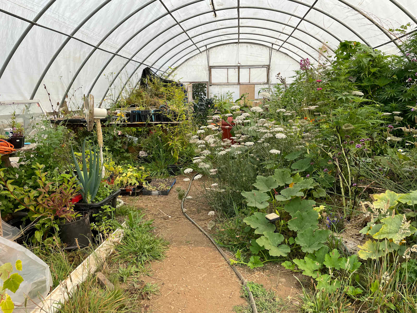 Ossia Village Farm - Crescent City, California - glamping.directory