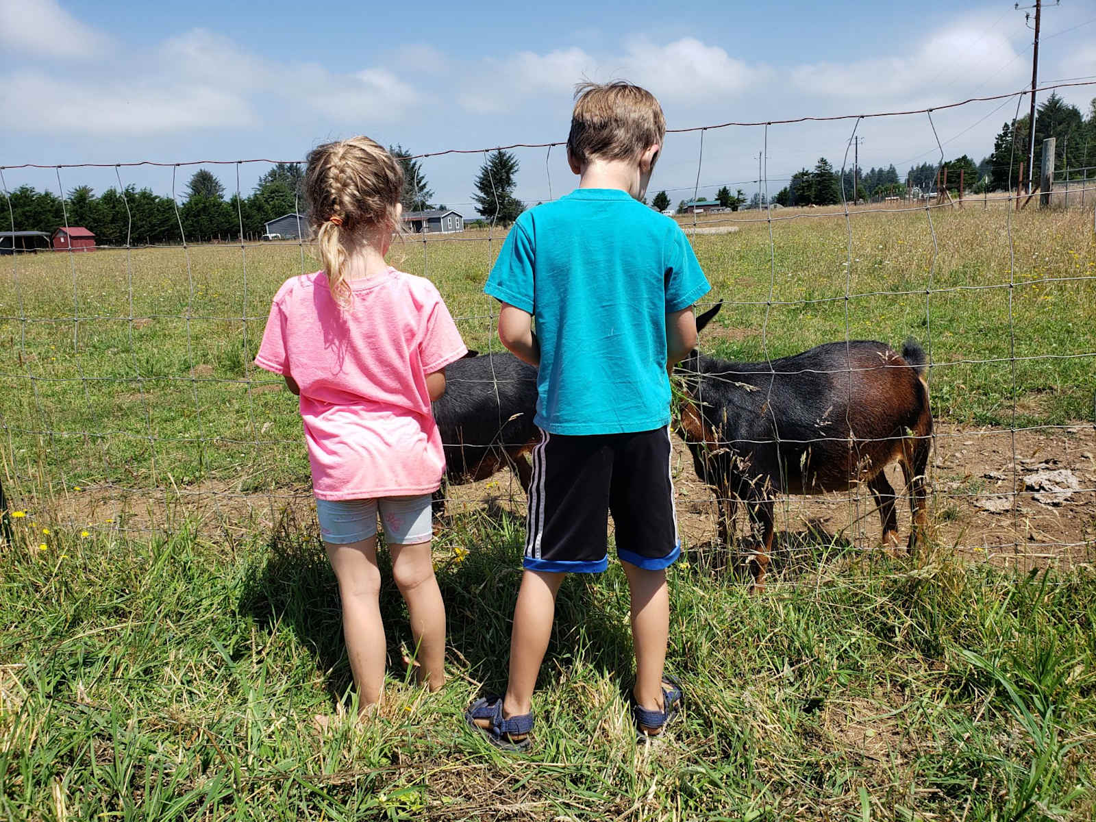Ossia Village Farm - Crescent City, California - glamping.directory