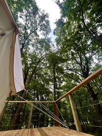Tranquil Wooded Cabin Retreat with Private Hot Tub & Fire Pit Near Gentry, Arkansas - Gentry, Arkansas - glamping.directory