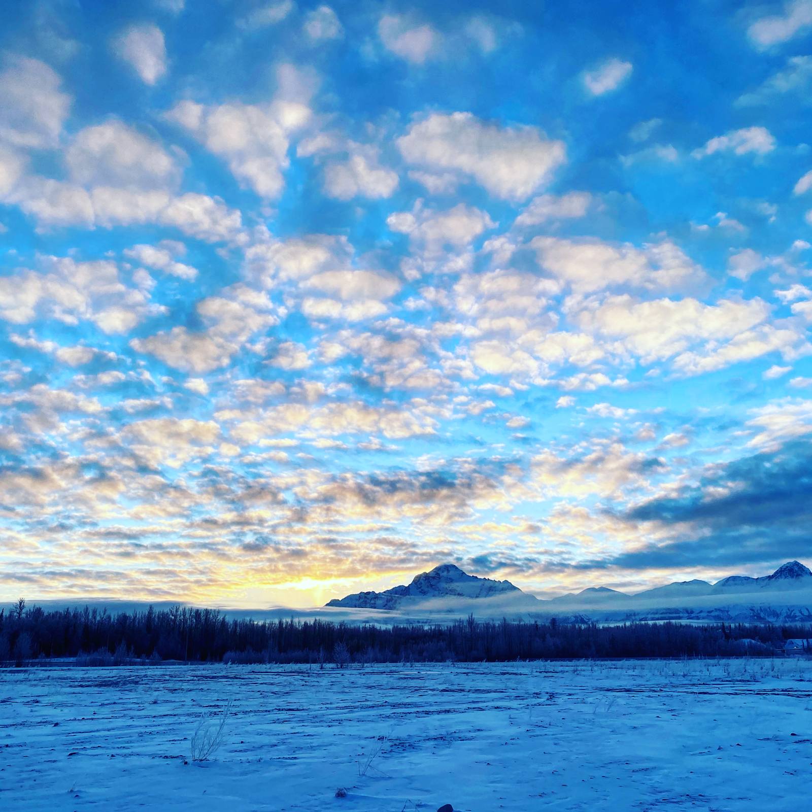 Salt & Yarrow Soul Sanctuary - Big Lake, Alaska - glamping.directory
