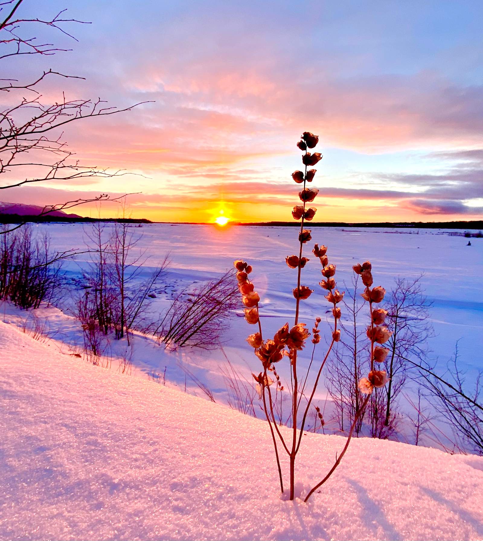 Salt & Yarrow Soul Sanctuary - Big Lake, Alaska - glamping.directory