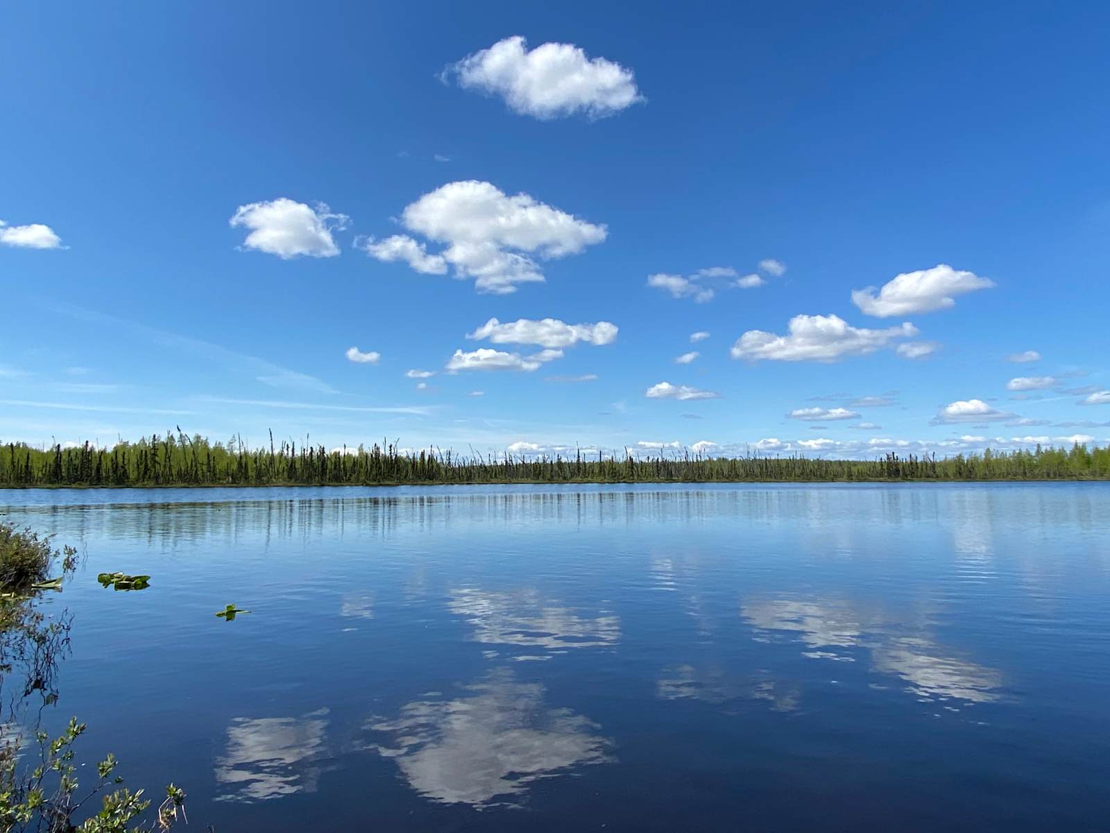 Salt & Yarrow Soul Sanctuary - Big Lake, Alaska - glamping.directory