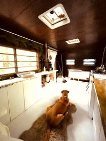 Romantic Glamping Getaway in a Pet Friendly Caravan, Ideal to Explore Hudson Valley - Hudson Valley, New York - glamping.directory