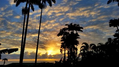Luxurious Suite Rental with Stunning Ocean Views near Hilo, Hawaii - Hilo, Hawaii - glamping.directory
