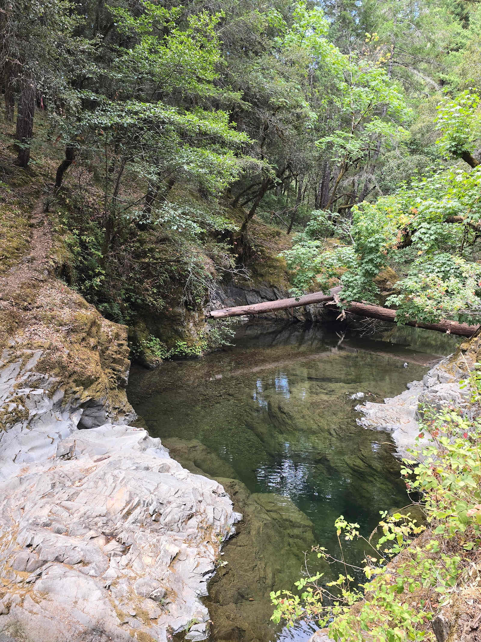 Sanctuary Farm - Ukiah, California - glamping.directory