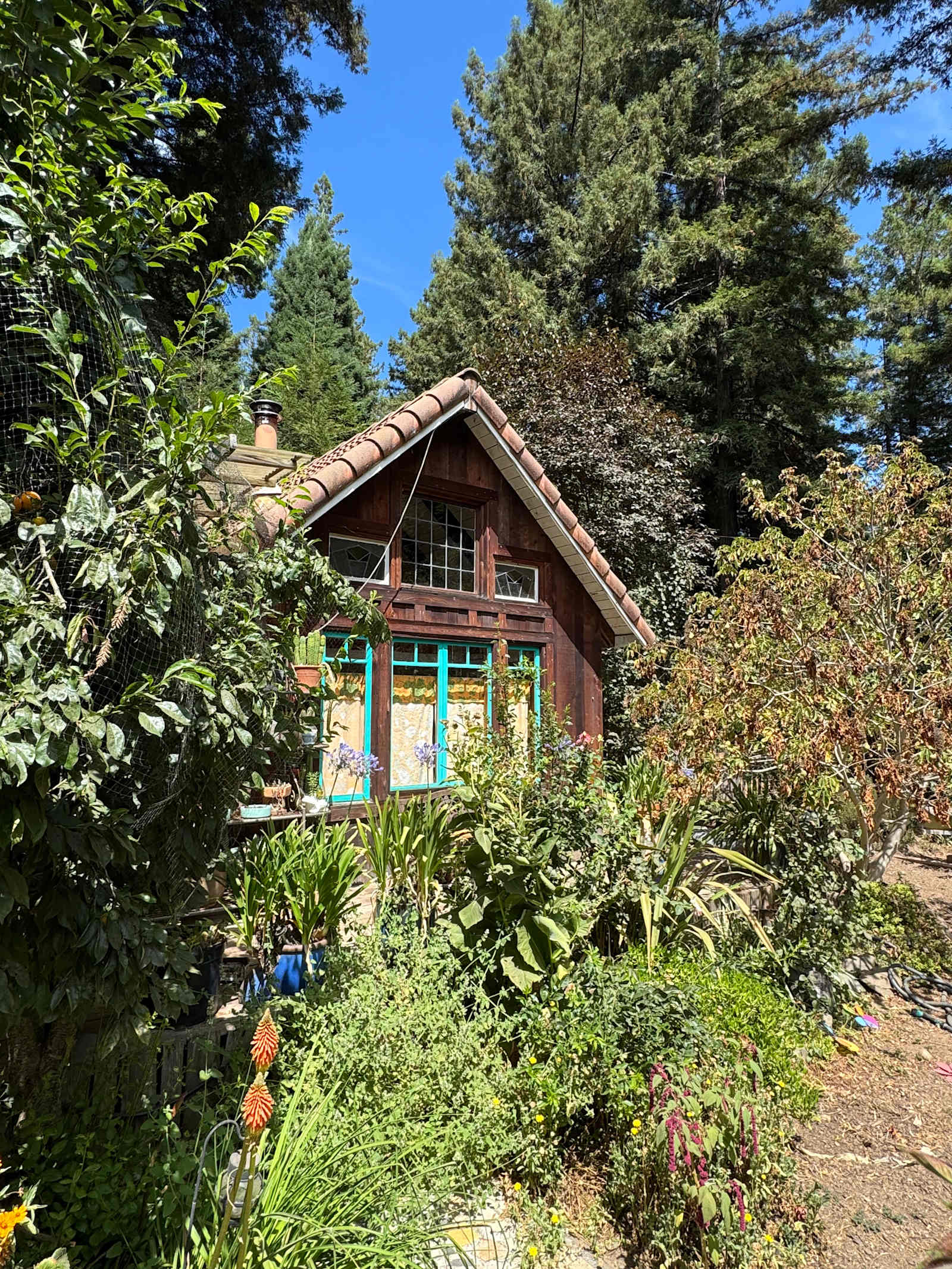 Sanctuary Farm - Ukiah, California - glamping.directory