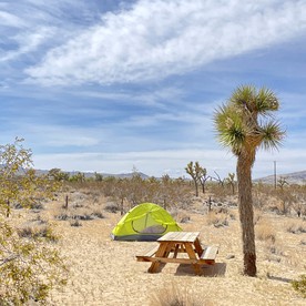 Remote Cabin in Landers, California, Perfect for Glamping near Joshua Tree National Park - Landers, California - glamping.directory