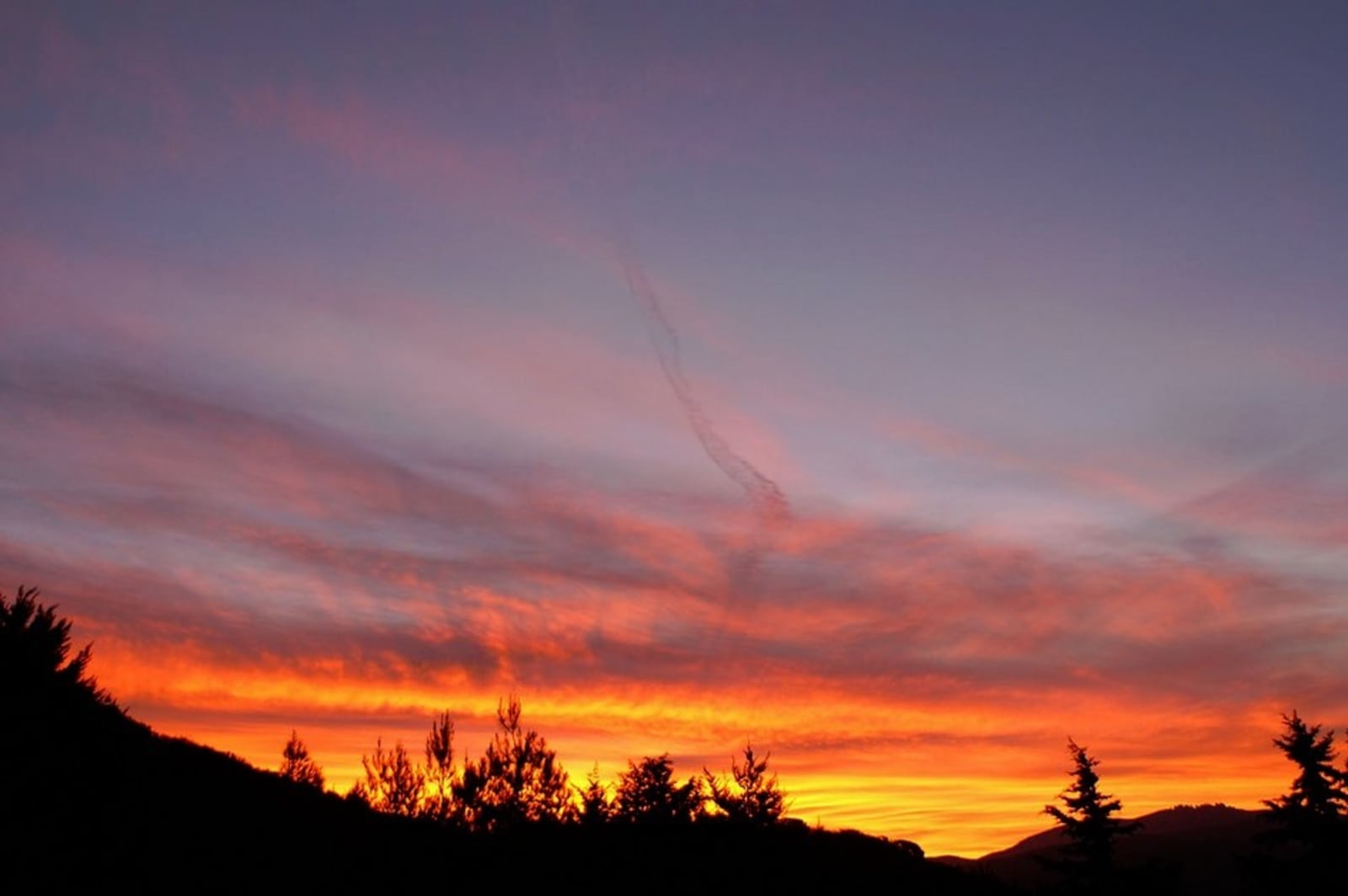 Camping @ Quail Run Ostrich Ranch - Lake Hughes, California - glamping.directory