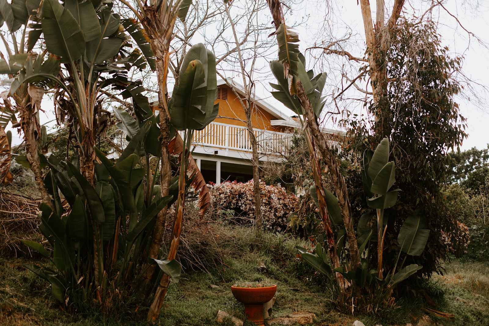 Grey Blooms Flower Farm - Vista, California - glamping.directory