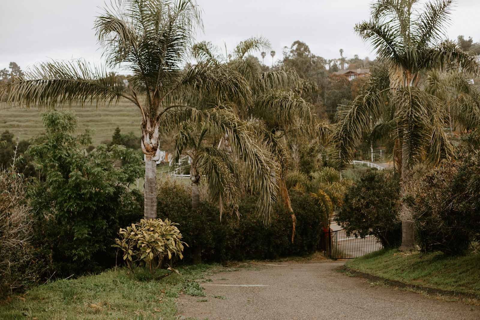 Grey Blooms Flower Farm - Vista, California - glamping.directory