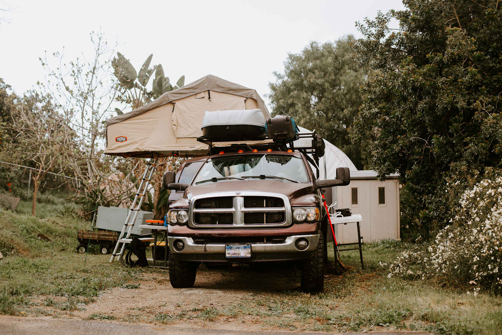 Grey Blooms Flower Farm - Vista, California - glamping.directory