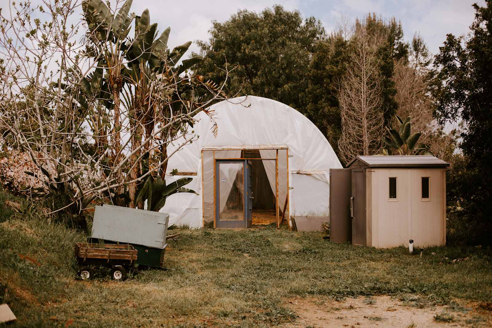 Grey Blooms Flower Farm - Vista, California - glamping.directory