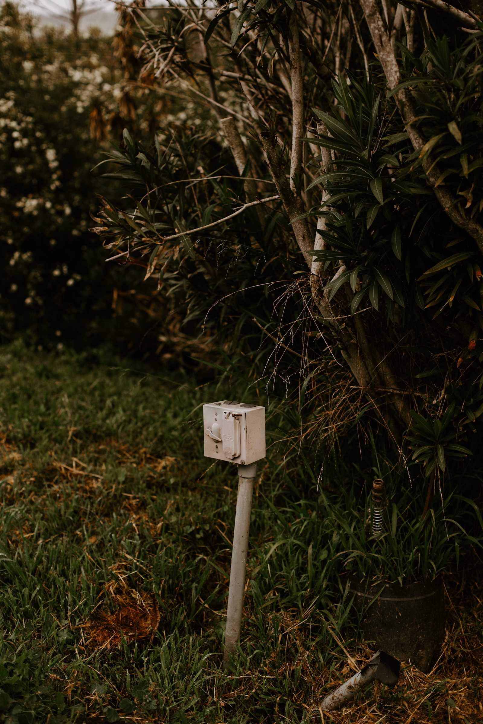 Grey Blooms Flower Farm - Vista, California - glamping.directory