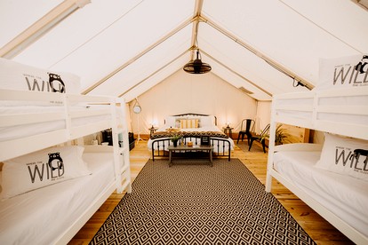 Deluxe Safari Tent for a Georgia Glamping Escape at Unicoi State Park - Helen, Georgia - glamping.directory