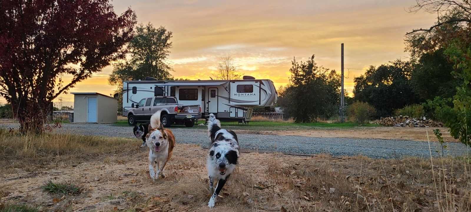 The Foxes  Family Farm - Wilton, California - glamping.directory
