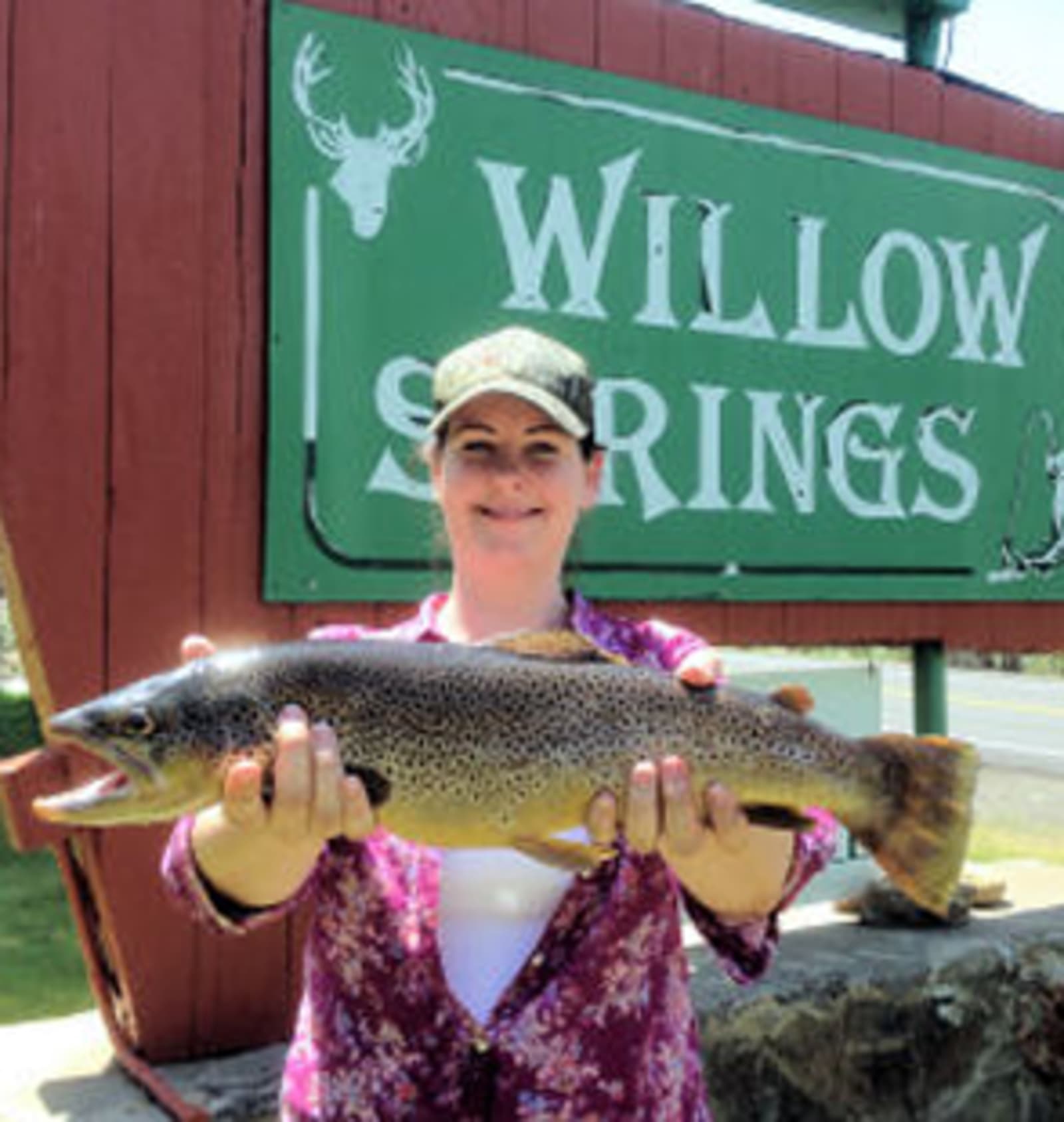 Willow Springs Resort - Bridgeport, California - glamping.directory