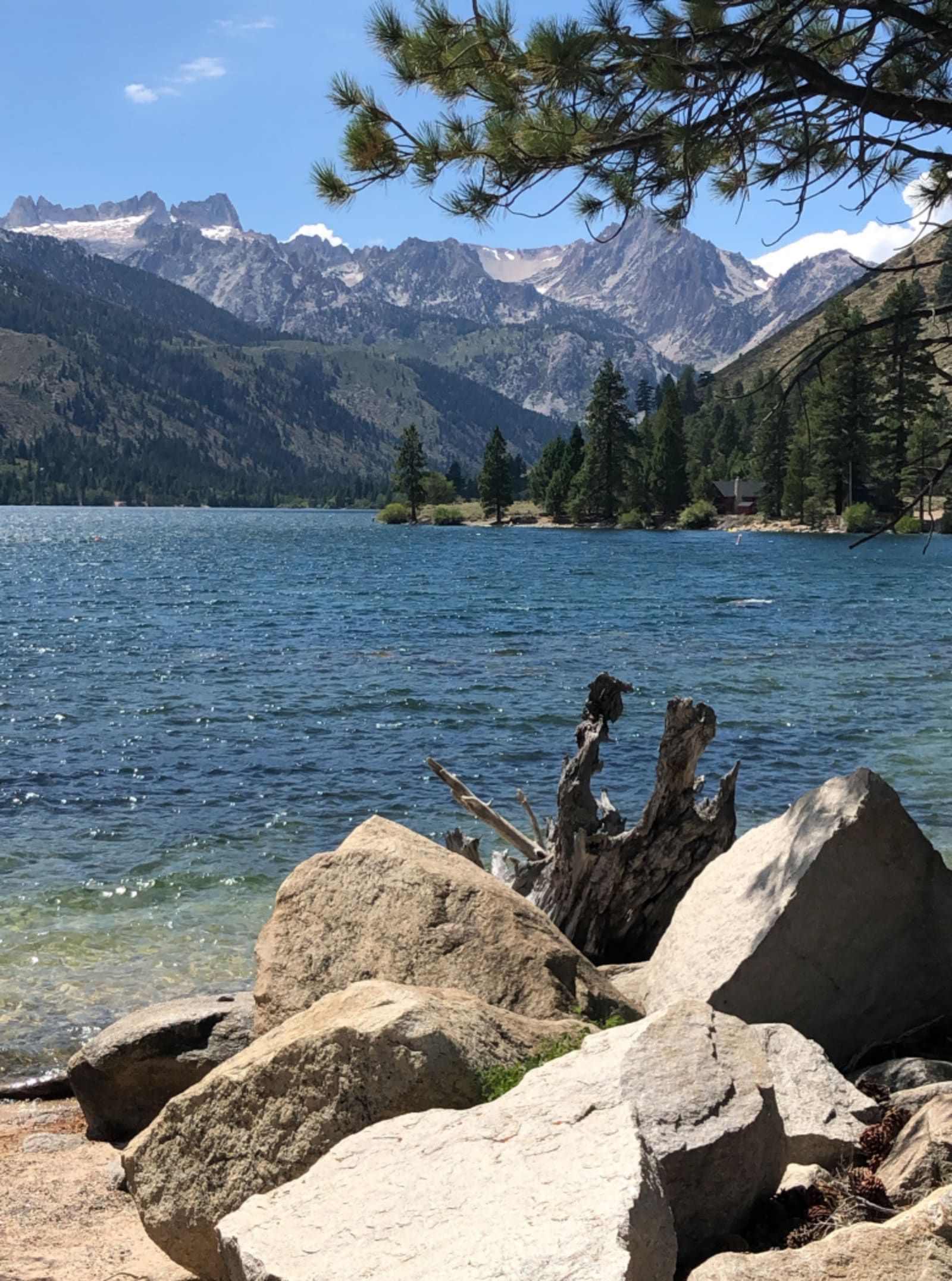 Willow Springs Resort - Bridgeport, California - glamping.directory