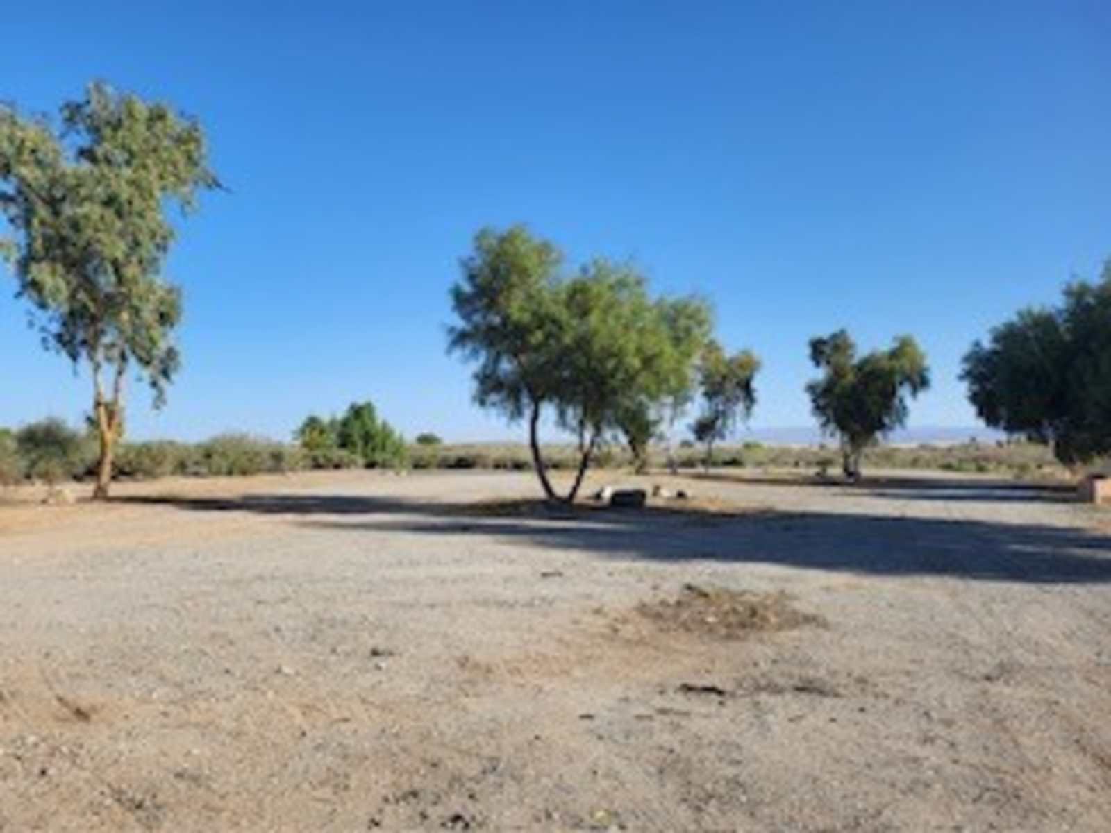 Pirate Cove Resort - Needles, California - glamping.directory