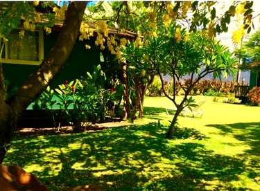 Stunning Luxury Cottage Rentals for Four with Breathtaking Views in Kihei, Maui - Kihei, Maui, Hawaii - glamping.directory