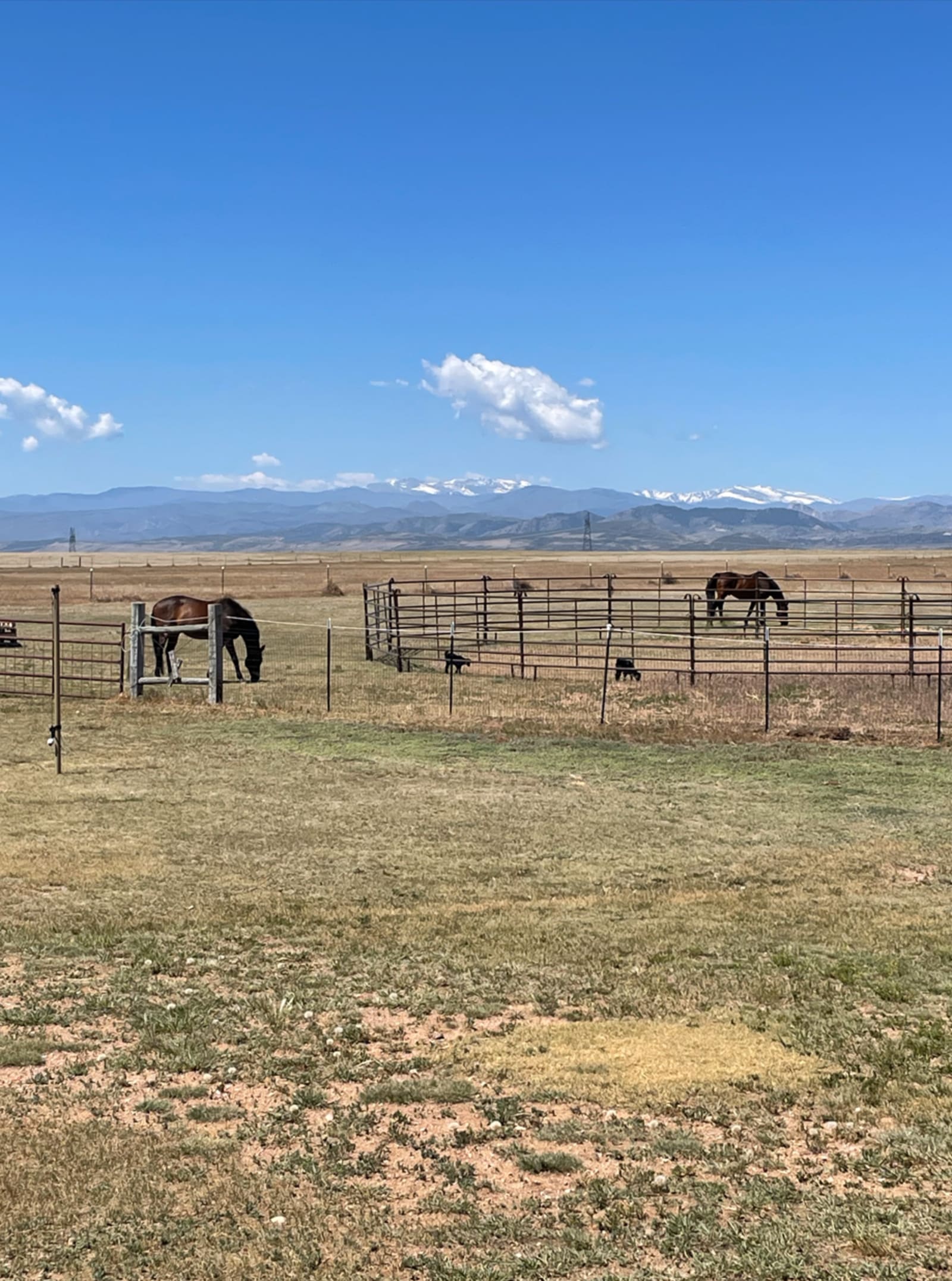Graves Mountain Ranch - Wellington, Colorado - glamping.directory