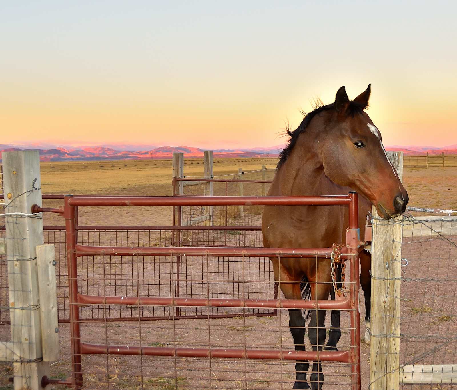 Graves Mountain Ranch - Wellington, Colorado - glamping.directory