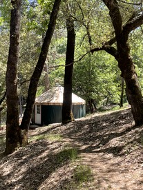 Cozy Yurt on a Hilltop Camping Compground for a Unique Glamping Getaway in North San Juan, California - North San Juan, California - glamping.directory