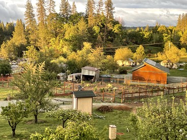 Cozy Yurt on a Hilltop Camping Compground for a Unique Glamping Getaway in North San Juan, California - North San Juan, California - glamping.directory
