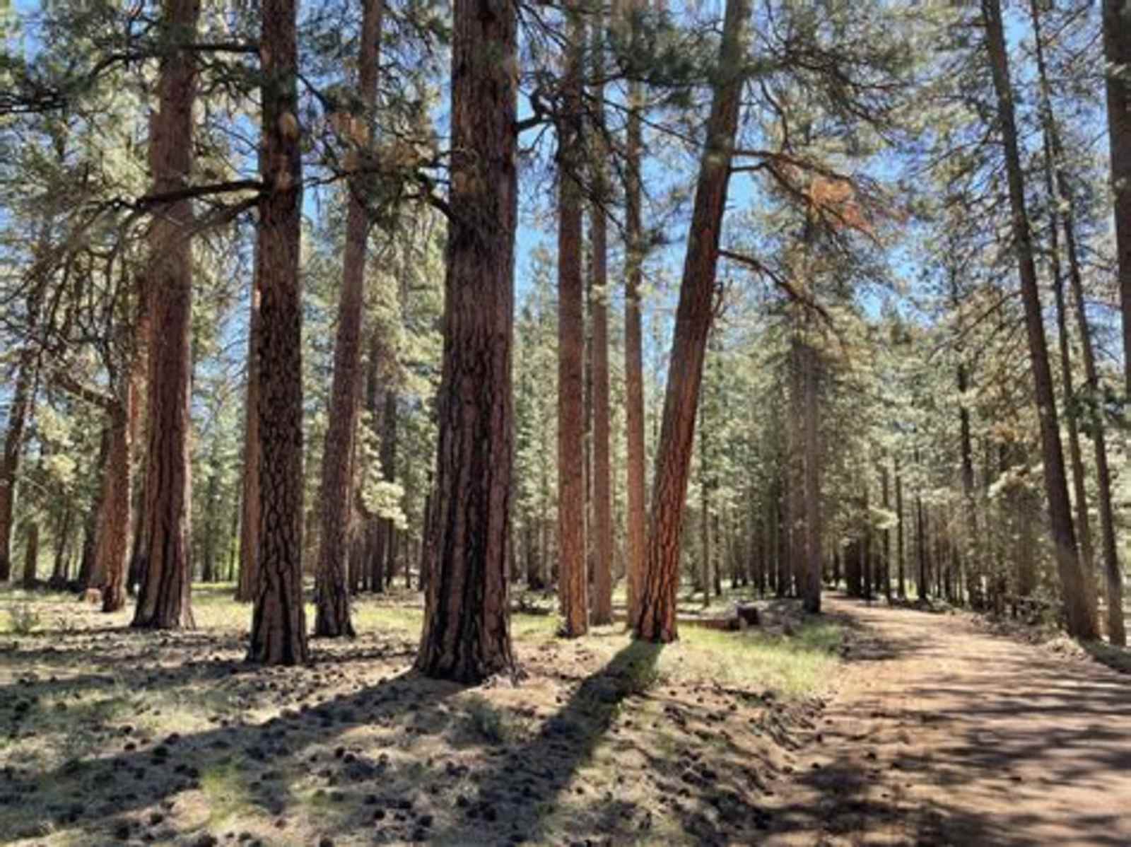Quick Camping from the 97 - Tennant, California - glamping.directory