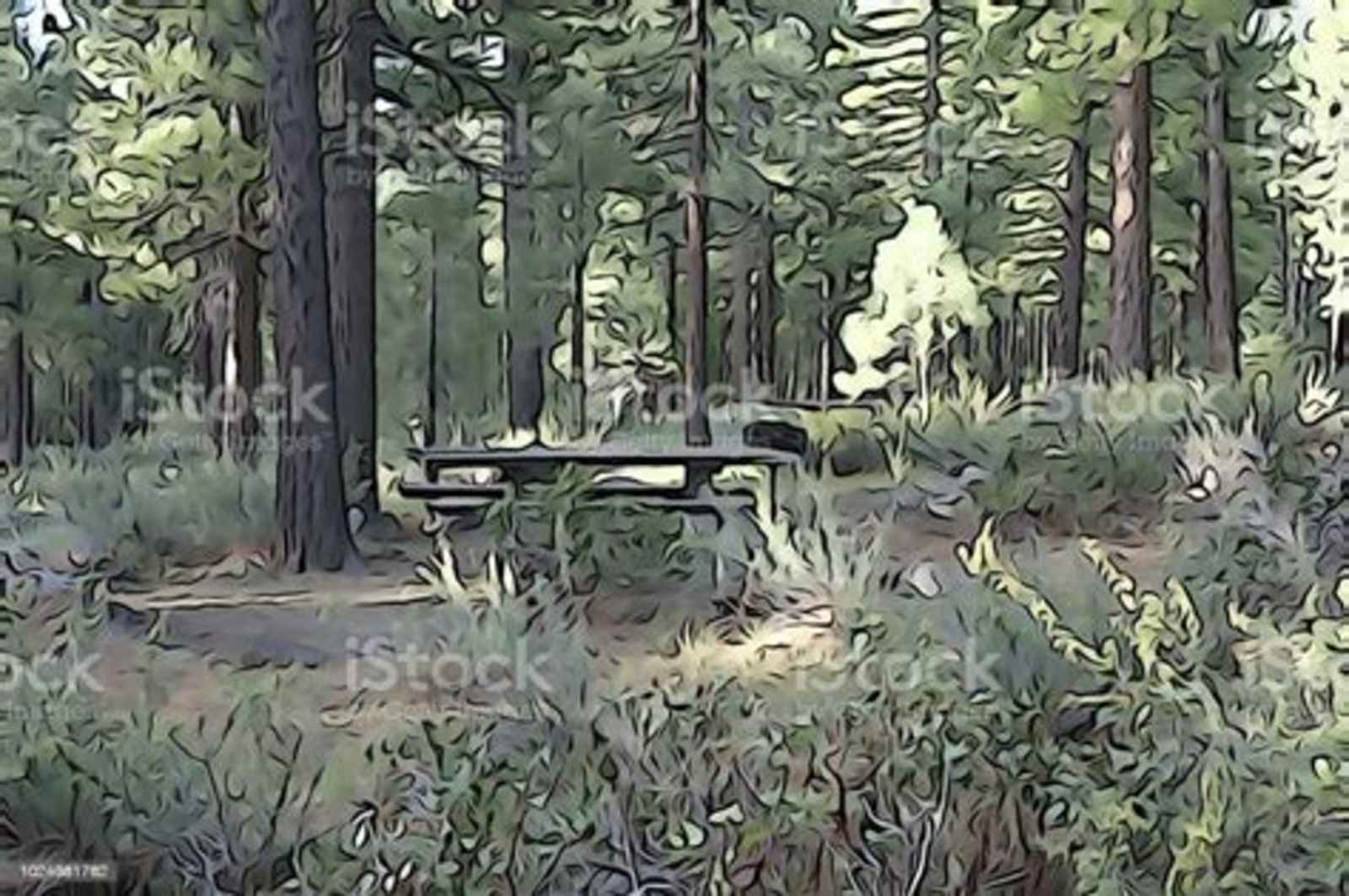 Quick Camping from the 97 - Tennant, California - glamping.directory