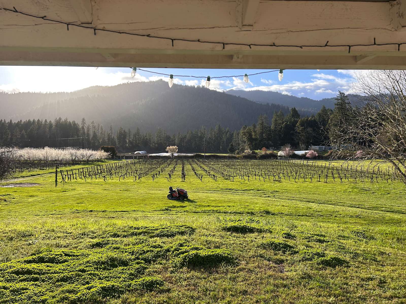 Harvest Moon Homestead - Willow Creek, California - glamping.directory