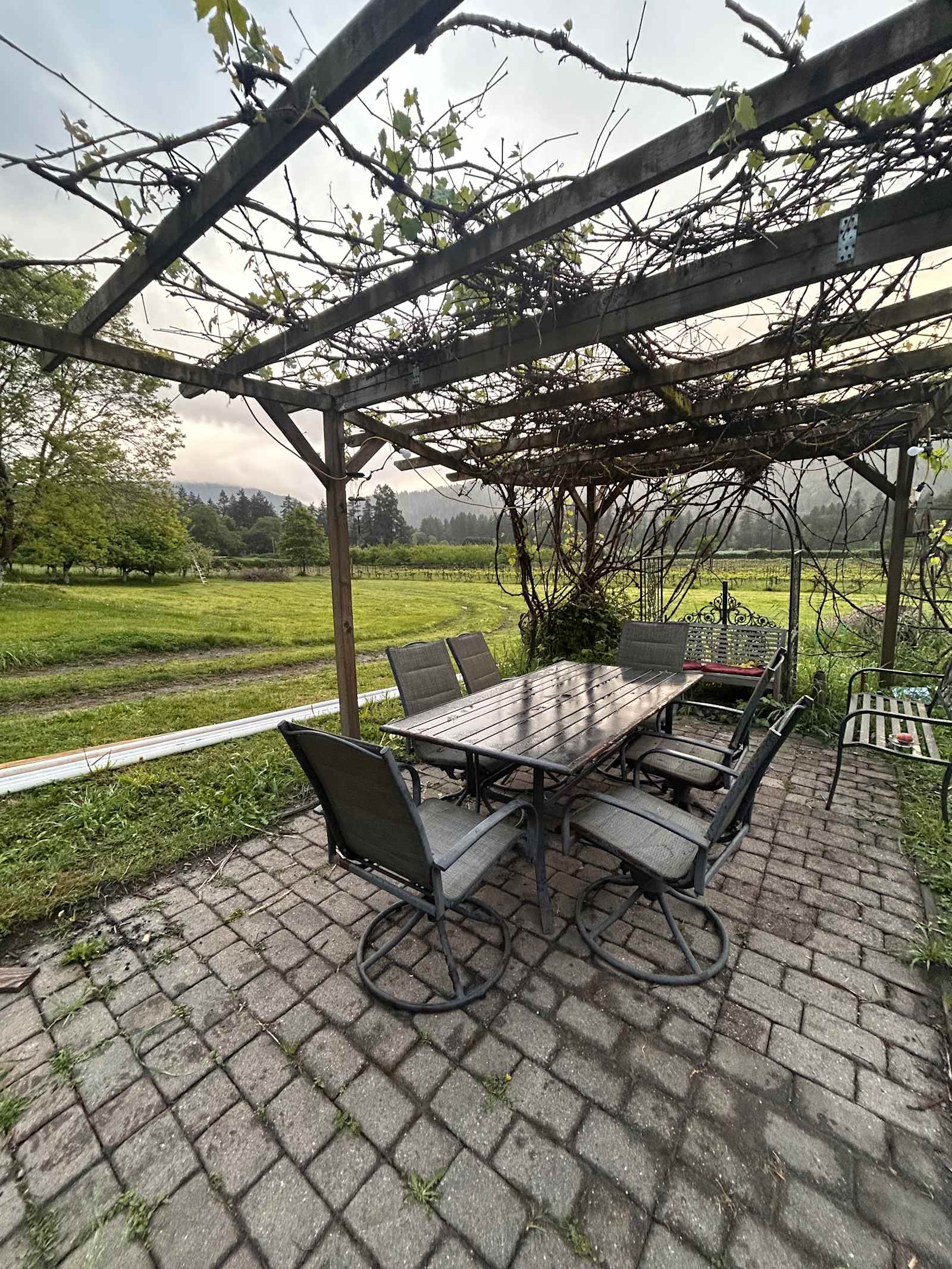 Harvest Moon Homestead - Willow Creek, California - glamping.directory