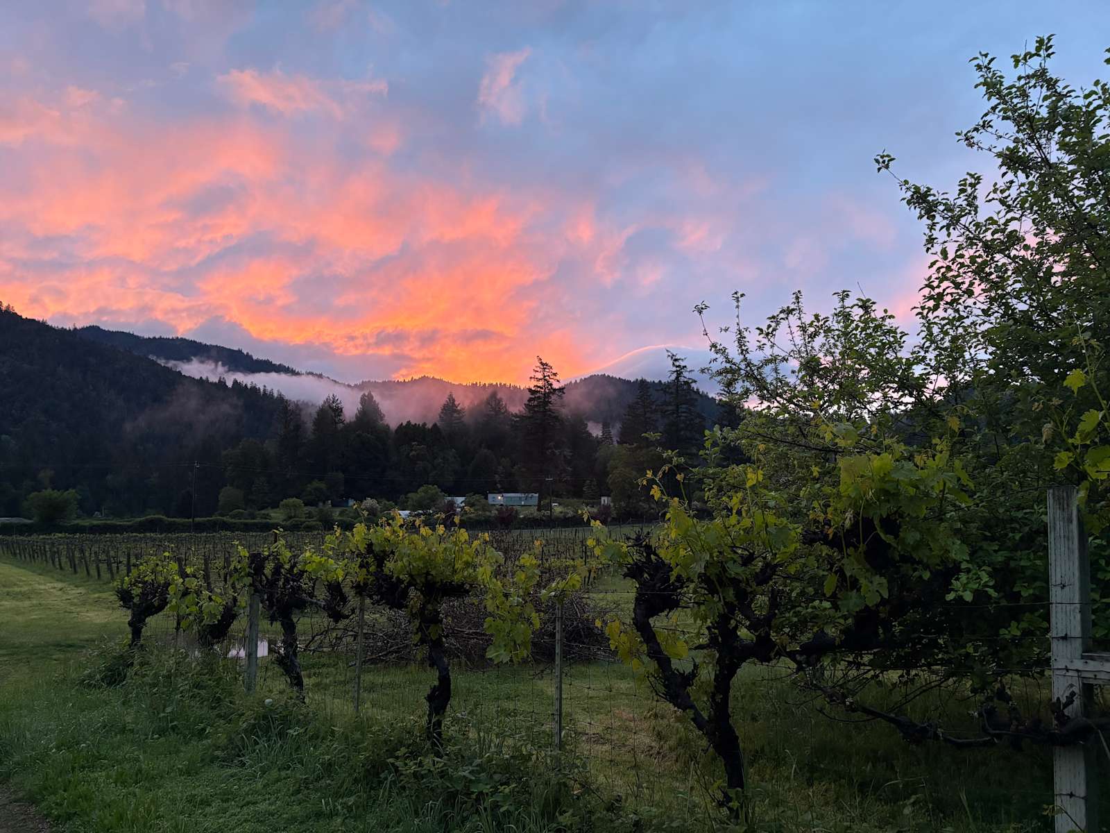 Harvest Moon Homestead - Willow Creek, California - glamping.directory