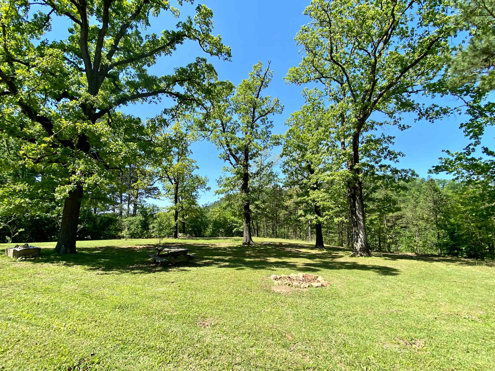 Sacred Pines - Boles, Arkansas - glamping.directory