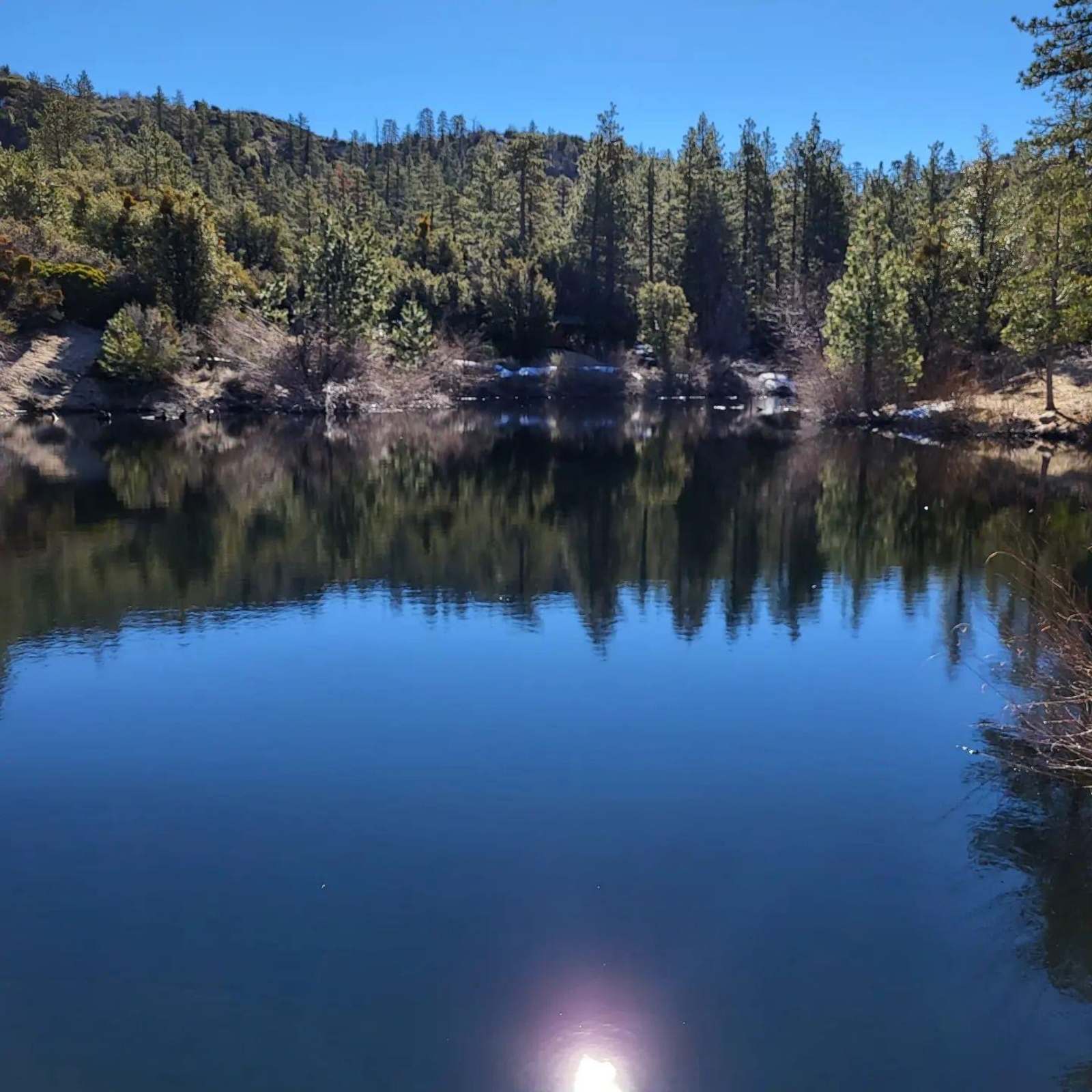 Skoolie in a secluded meadow - Littlerock, California - glamping.directory