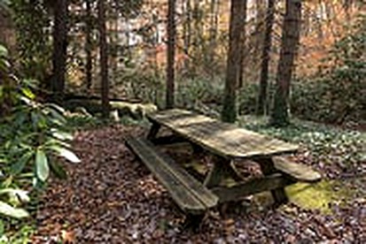 Historic Mountain Cottage Rental with Classic and Modern Features in Somerset, Pennsylvania - Somerset, Pennsylvania - glamping.directory