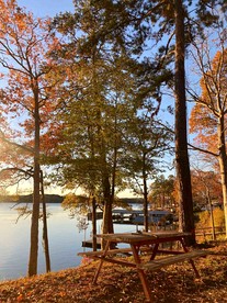 Spacious Modern Cabin on Toledo Bend Lake with Gorgeous Deck and Patio for an Amazing Family Getaway in Hemphill, Texas - Hemphill, Texas - glamping.directory