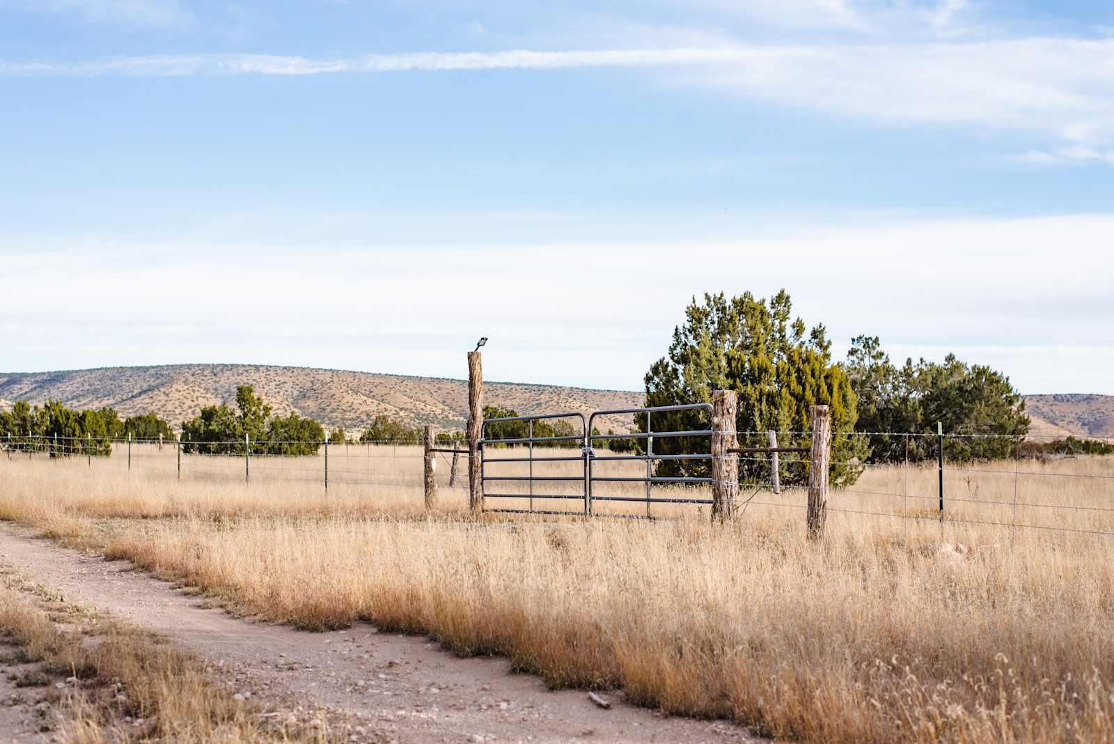 Pinon Forest Camp - Seligman, Arizona - glamping.directory