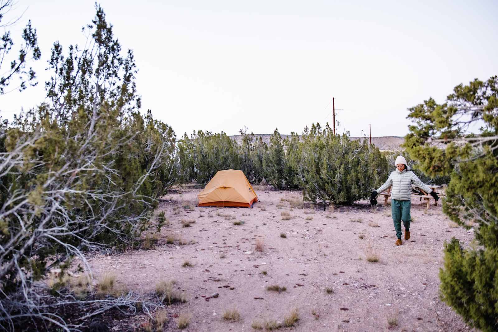 Pinon Forest Camp - Seligman, Arizona - glamping.directory