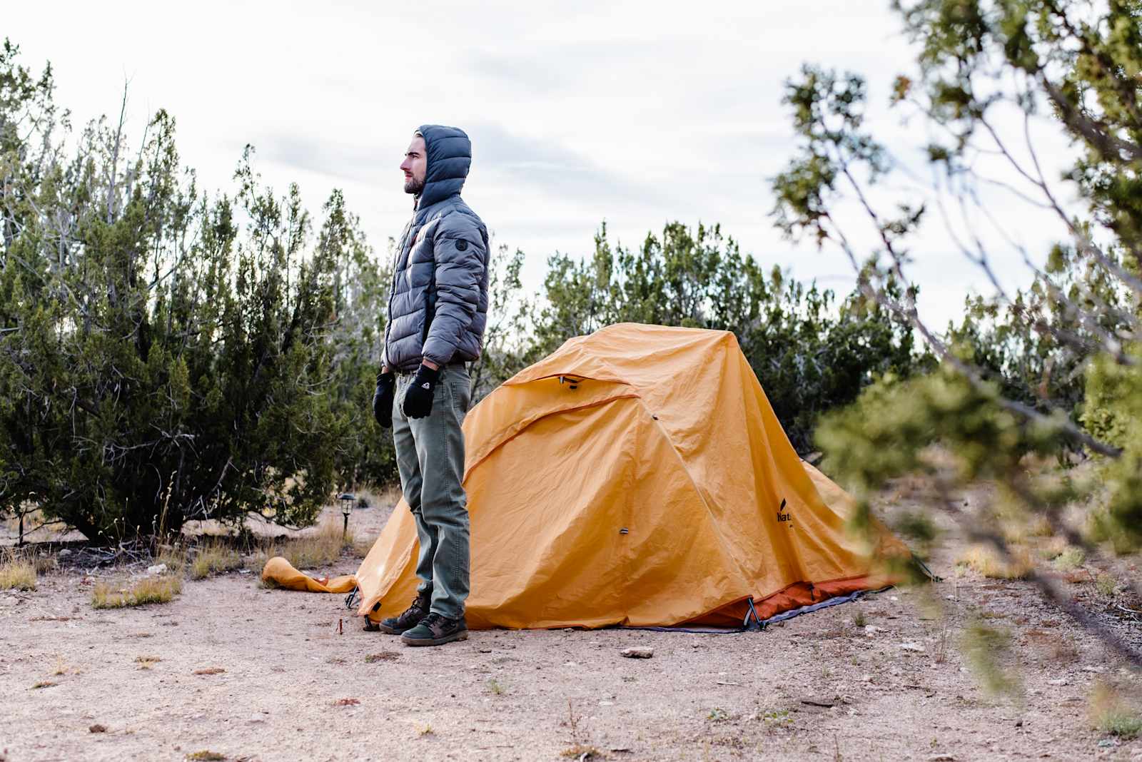 Pinon Forest Camp - Seligman, Arizona - glamping.directory