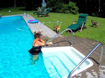 Restored Barn Rental with a Pool for a Family Getaway in the Berkshires of Massachusetts - South Egremont, Massachusetts - glamping.directory
