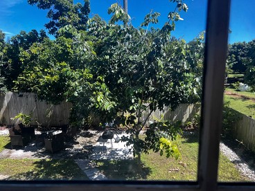 Delightful Lofted Tiny Barn with Cozy Interior and Spacious Backyard in Florida - Homestead, Florida - glamping.directory