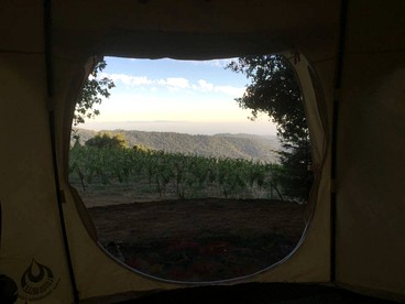 Lotus Yurt in Vineyard Overlooking Monterey Bay near Los Gatos, California - San Jose, California - glamping.directory